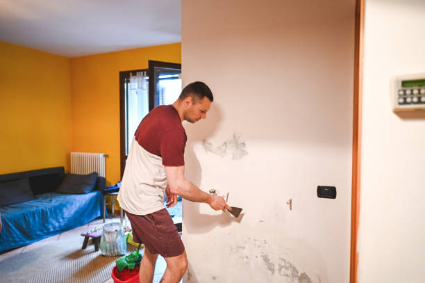 Best Health and Safety Mold Remediation in Cayuga Heights, NY